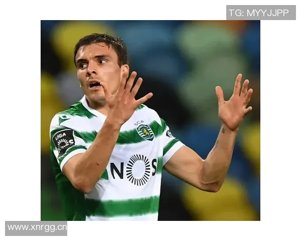 帕利尼亚坚定信心希望葡萄牙早日晋级我随时准备上场助力球队